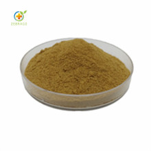 Zebrago Supply Horsetail Extract Powder 10% Silicon